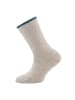 ewers 6er-Set Socken Ringel/Dino in tinte-sweater grau