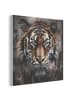 OnlyWow Akustibild Tiger
