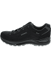 LOWA Renegade Evo GTX Lo Wanderschuh Schwarz