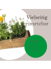 Novaliv Novaliv Holzkiste Vintage 30 x 15 x 10 cm Alte Ziegelform Holz EIN KAM in Braun