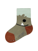 camano Socken 4er Pack ca-soft in overland trek