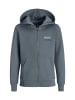 JACK & JONES Junior Kapuzensweatjacke 'JJELOGO' in grau