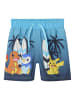 name it Badeshorts in Bluefish