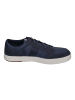 Timberland Sneaker Low DAVIS SQUARE in blau