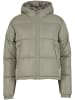 Urban Classics Urban Classics Puffer-Jacken in paleolive