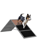 Pawhut Hunde Agility Steg 173L x 59B x 66H cm Grau