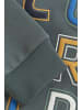 Color Kids Sweater COSweat W. JR. Logo Print in Grün