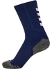 Hummel Sportsocken "Hmlpro Training Socks Low" in Blau
