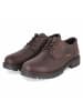 Camel Active Schnürhalbschuh in brown