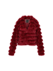 taddy Women Jacket in Wine Red