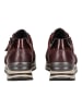 Gabor Sneaker in Merlot