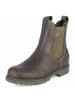 PANAMA JACK Chelsea Boots FRANCESCA IGLOO in grün