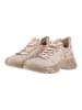Steve Madden Sneaker MISTICA in Taupe/Beige