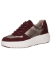Caprice Sneaker in BORDEAUX/ROSE