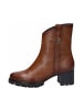 TT. BAGATT Stiefeletten in cognac