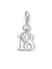 Thomas Sabo Charm-Anhänger in silber