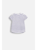 Coccodrillo T-Shirt mit kurzem Ärmel in bunt