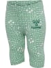 Hummel Hummel 3/4 Leggings Hmlzanzi Lebensstil Mädchen in SILT GREEN