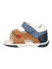 Geox Sandalen in Braun/Blau