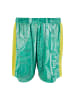 Carlo Colucci Carlo Colucci SOCCER SHORTS COLOR BLOCK in green/yellow