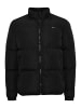 FQ1924 Winterjacke FQHugal 21900481-ME in schwarz