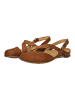 El Naturalista Sandalen Braun
