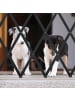 relaxdays Hundeabsperrgitter in Schwarz - (B)130 x (H)87,5 cm
