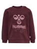 Hummel Sweatshirt Hmlspirit Lebensstil Jungen in WINDSOR WINE