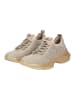 Steve Madden Sneaker in Hellbeige