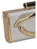faina Women Clutch in Silver
