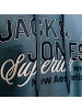 Jack and Jones Hoodie JJELOGO Sweat Hood 2 col 25/26 in Blau