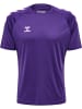 Hummel Hummel T-Shirt Hmlcore Multisport Erwachsene Schnelltrocknend in ACAI