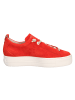 Paul Green Sneaker in rot