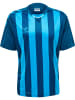 Hummel Hummel T-Shirt Hmlcore Multisport Herren Atmungsaktiv Schnelltrocknend in BLUE CORAL/BLUE DANUBE