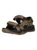 Whistler Sandalen Trani in 1136 Simply Taupe