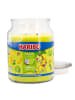 Haribo Haribo™ Duftkerze "Coconut Lime"