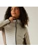 Regatta Andreson Hybrid Softshelljacke in Crem