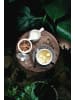 Seltmann Weiden 18er Set Teeservice Life Fashion in Trendy Petrol