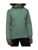 Mammut Funktionsjacke DA Alto HS Hooded Jacket Wom in Grün