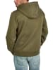 DENIMFY Sweatjacke DFLeo in Oliv