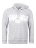 TOP GUN Hoodie TG20201123 in grey mélange