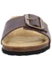 Plakton Pantolette in braun