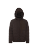 Colina Herren Steppjacke in Espresso