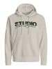Jack & Jones Hoodie 'Yuki' in grau