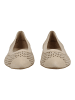 Paul Green Ballerinas in Beige