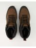 Geox Stiefeletten in Braun