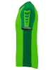 erima Unisex Erwachsene Six Wings Trikot in green/smaragd