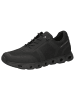 Caprice Sneaker in BLACK/BLK SOLE