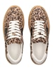 Pavement Sneaker in Leopard