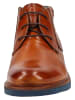 Daniel Hechter Stiefelette in Cognac